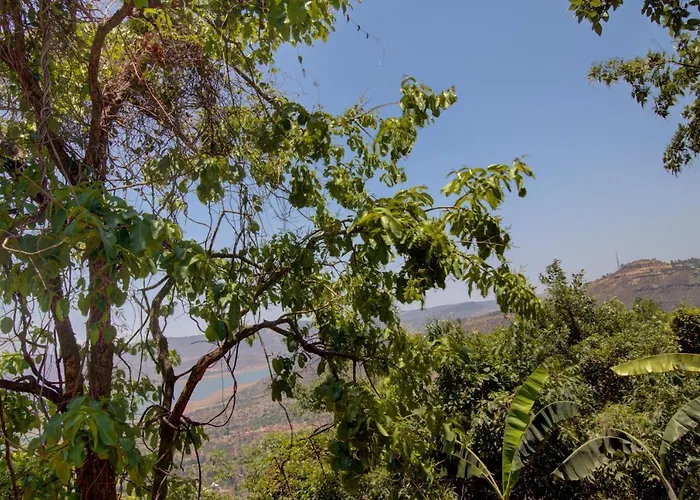 Rainforest Restaurant & Villas Panchgani